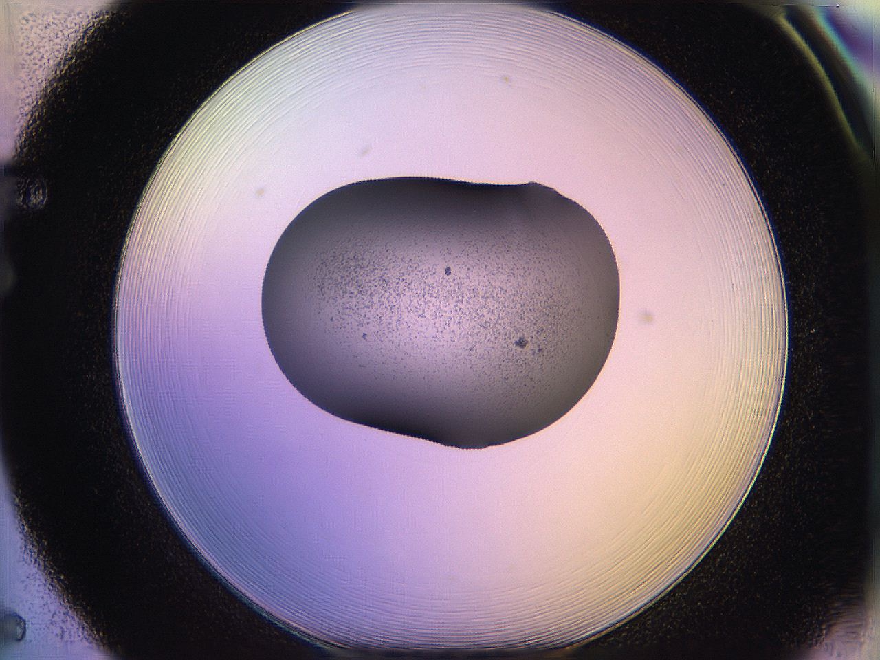 05qf_F5_ImagerDefaults_3.jpg
