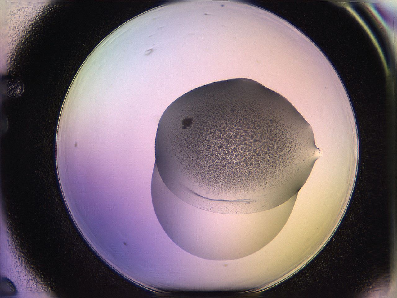 05qf_F6_ImagerDefaults_3.jpg