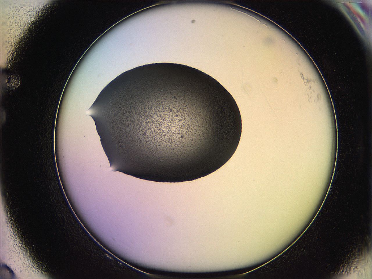 05qf_F8_ImagerDefaults_3.jpg