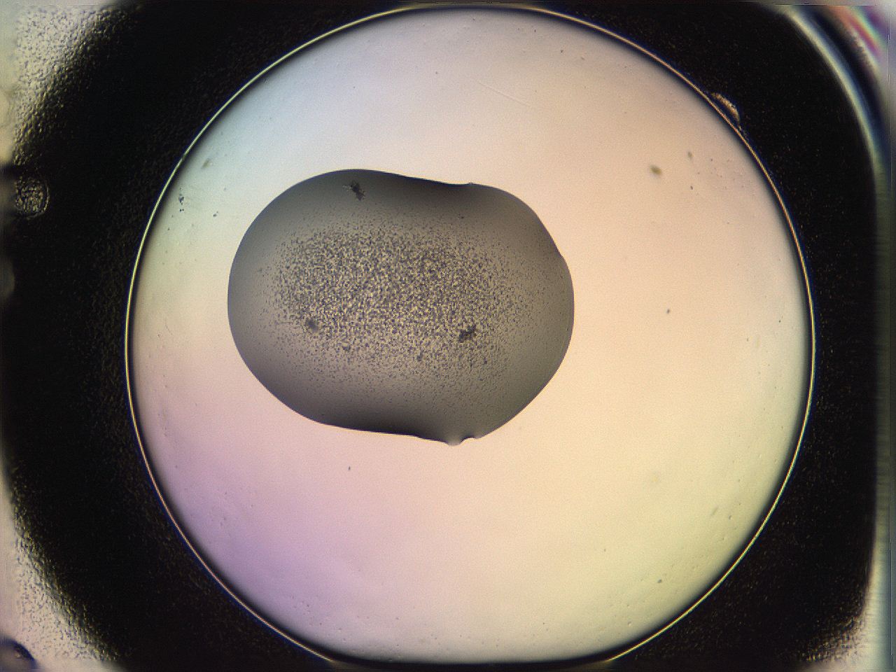 05qf_F9_ImagerDefaults_3.jpg