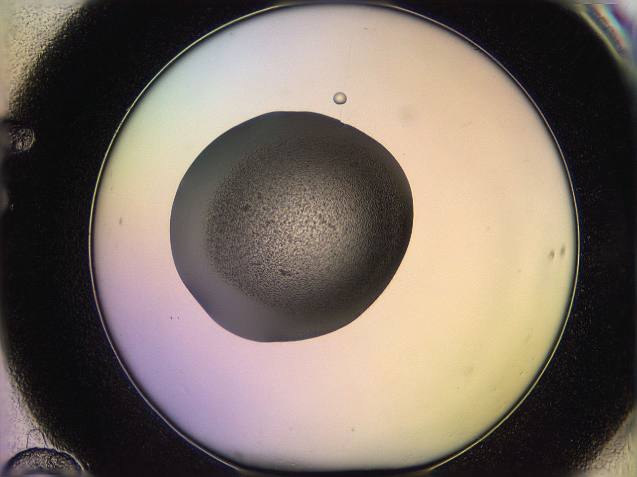 05qf_F10_ImagerDefaults_3.jpg