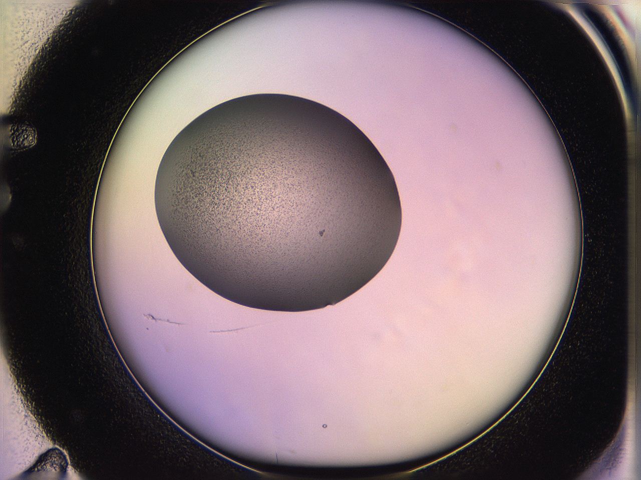 05qf_F11_ImagerDefaults_3.jpg