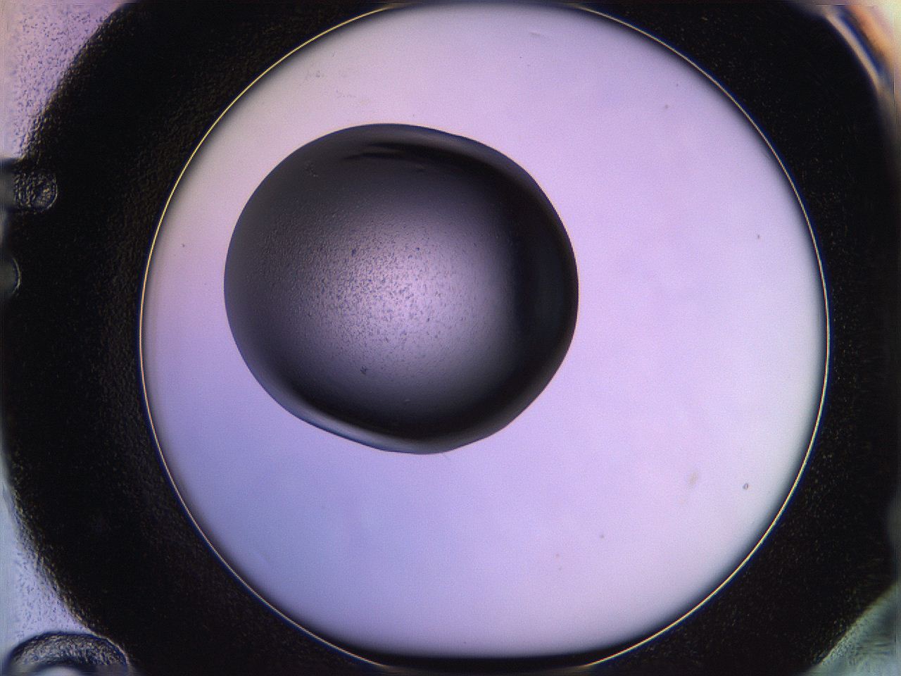05qf_F12_ImagerDefaults_3.jpg