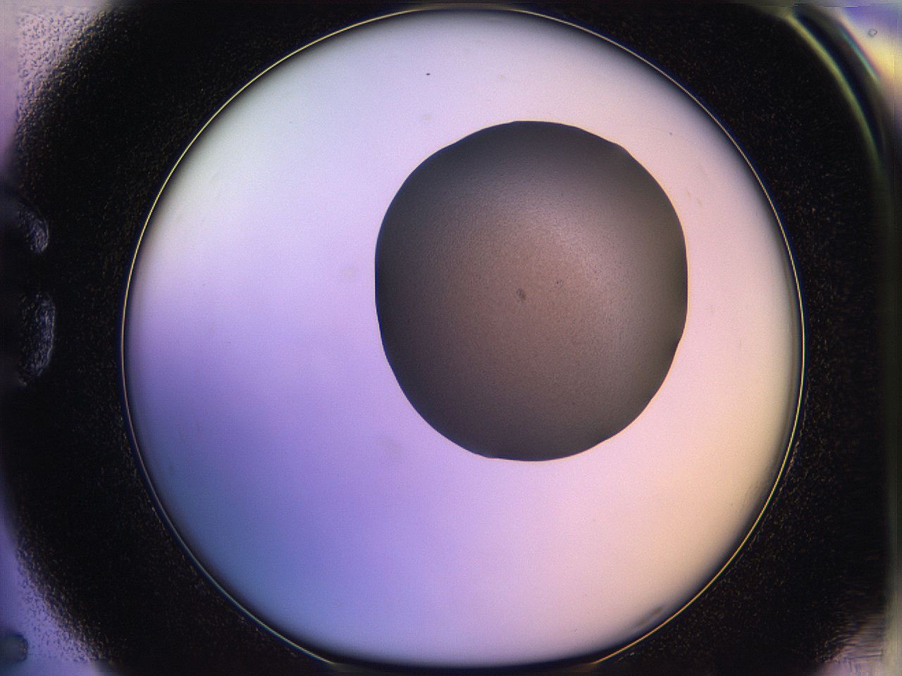 05qf_G5_ImagerDefaults_3.jpg