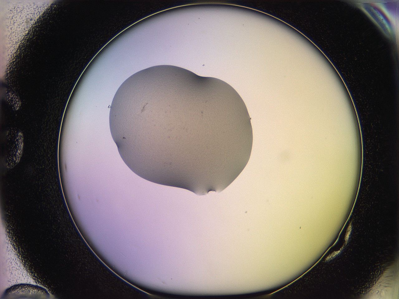 05qf_G10_ImagerDefaults_3.jpg