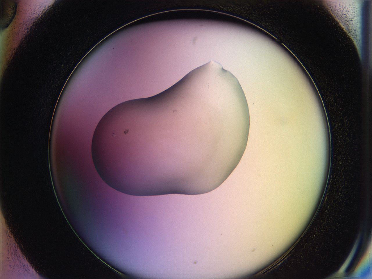 05qf_H6_ImagerDefaults_1.jpg