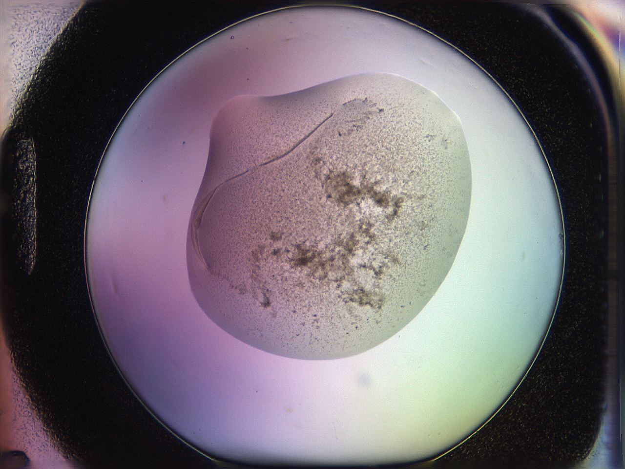 05qf_H7_ImagerDefaults_3.jpg
