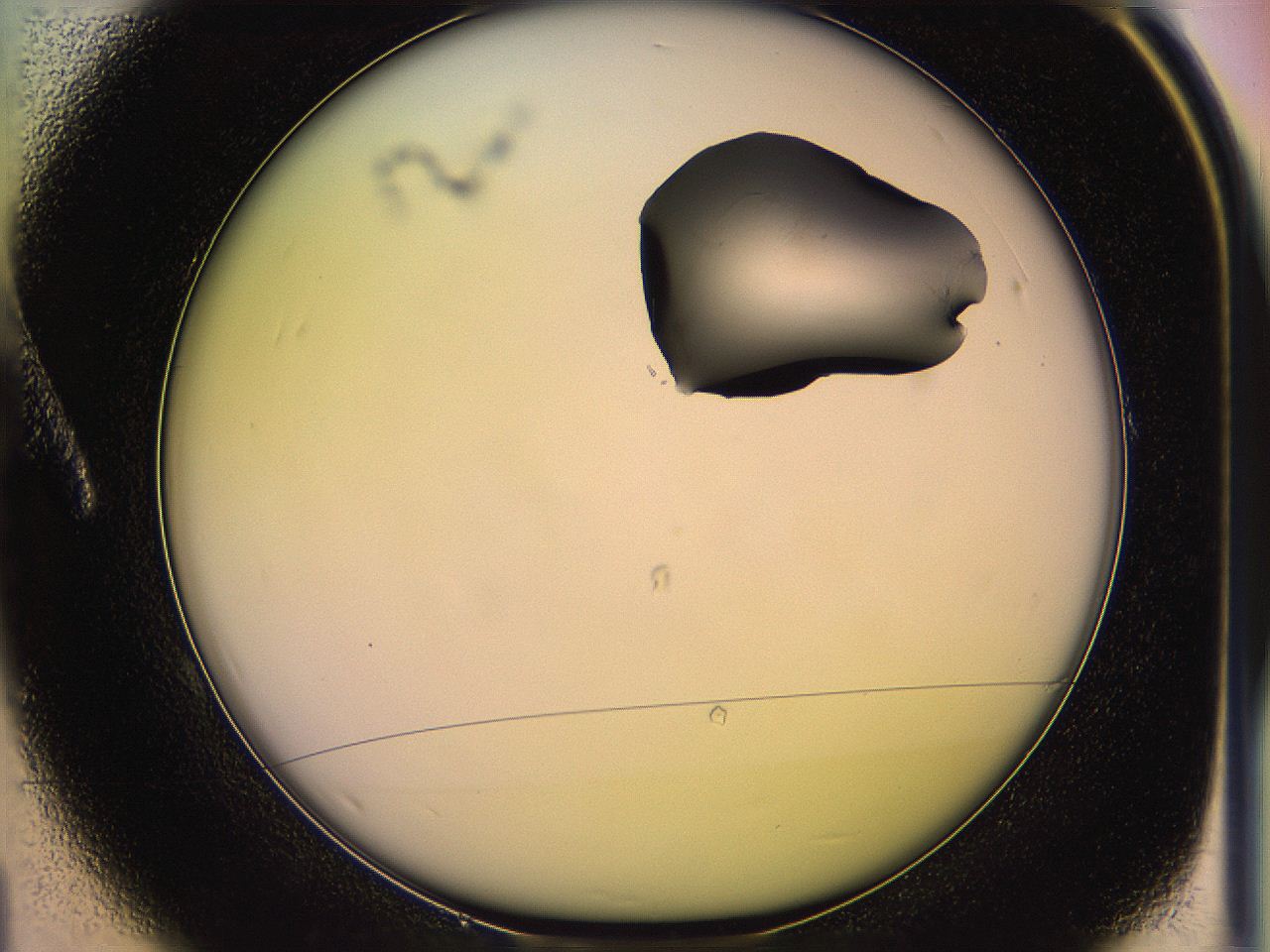 05qg_A1_ImagerDefaults_1.jpg
