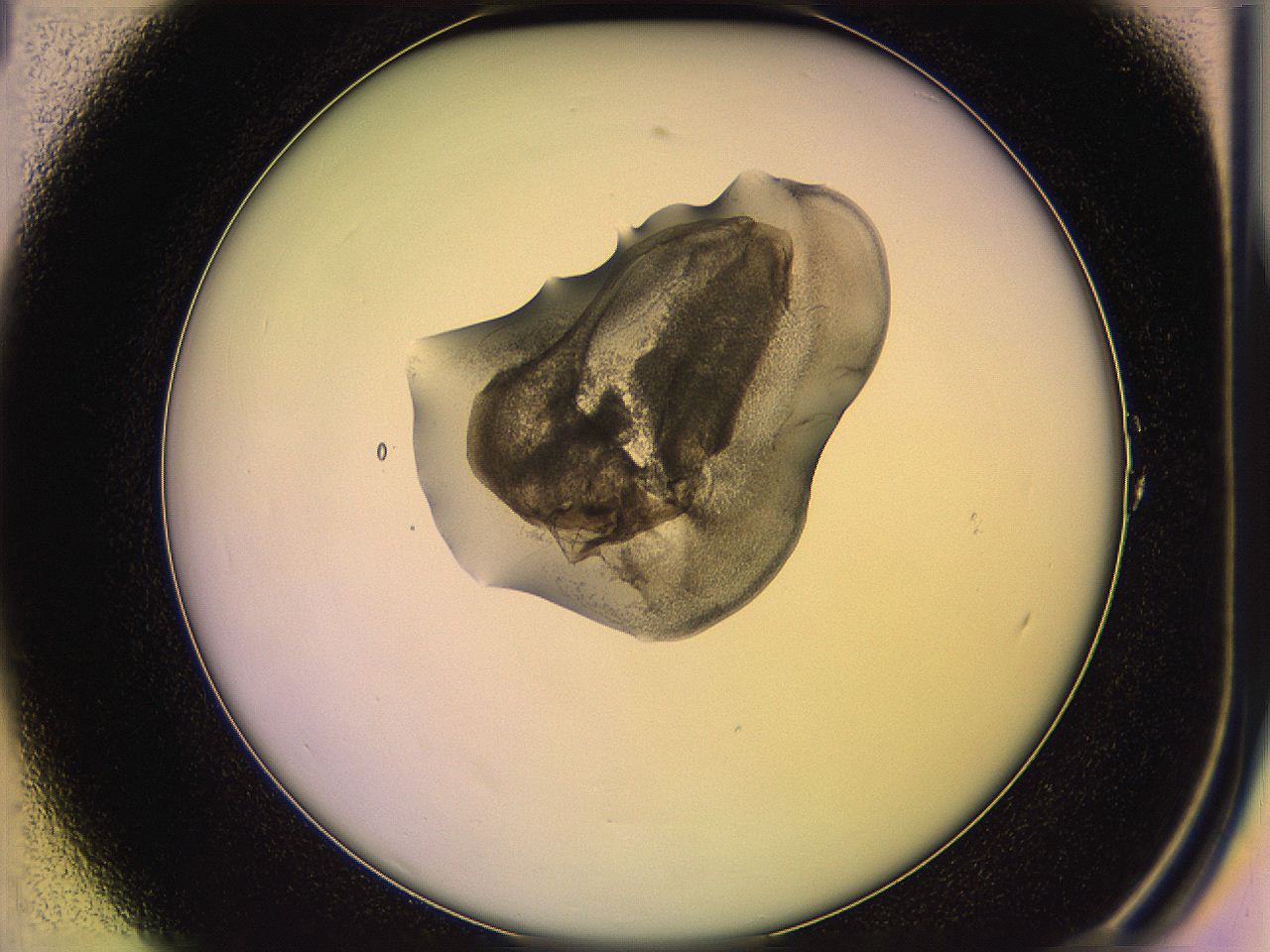 05qg_A1_ImagerDefaults_3.jpg
