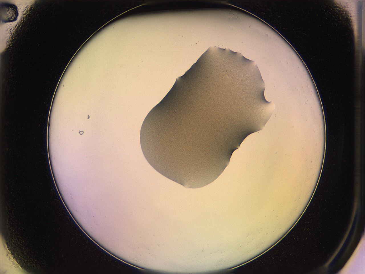 05qg_A2_ImagerDefaults_3.jpg