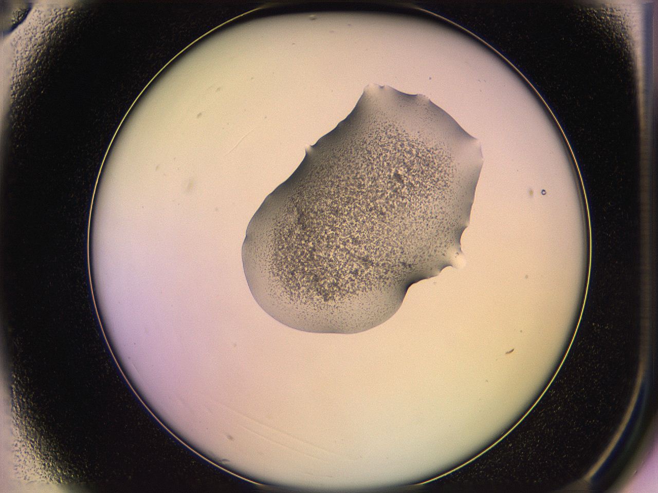 05qg_A3_ImagerDefaults_3.jpg