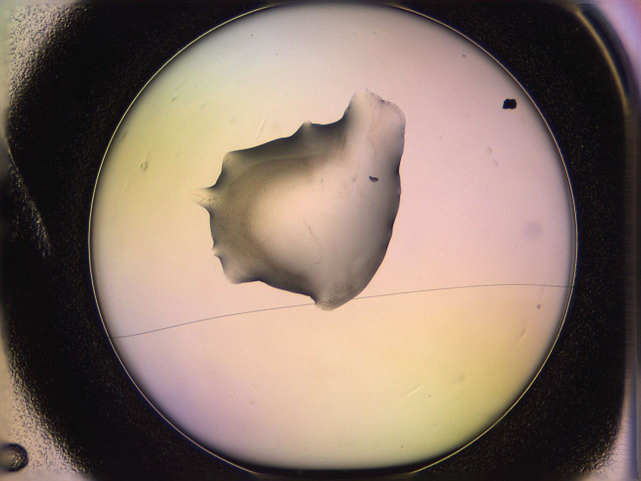 05qg_A5_ImagerDefaults_3.jpg