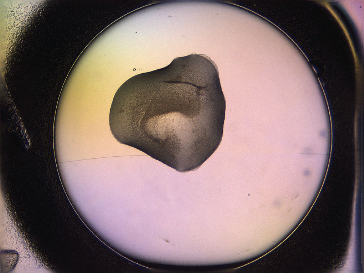 05qg_A7_ImagerDefaults_3.jpg