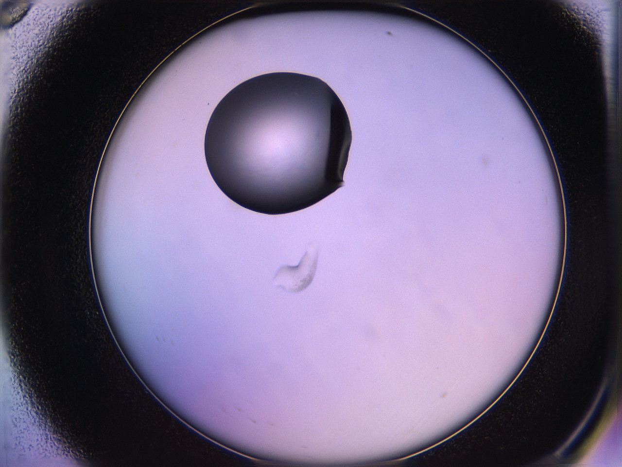 05qg_A8_ImagerDefaults_1.jpg