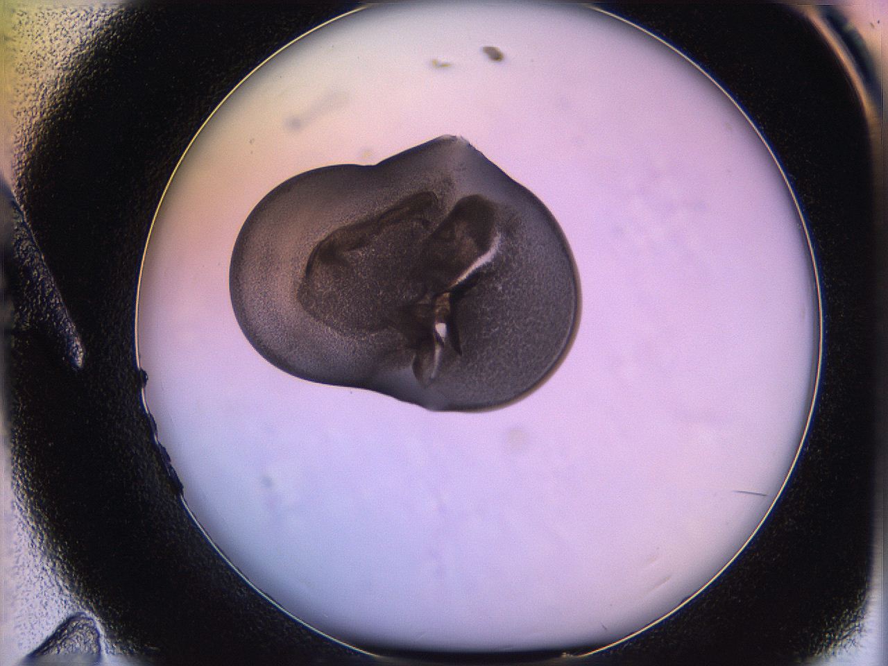 05qg_A11_ImagerDefaults_3.jpg