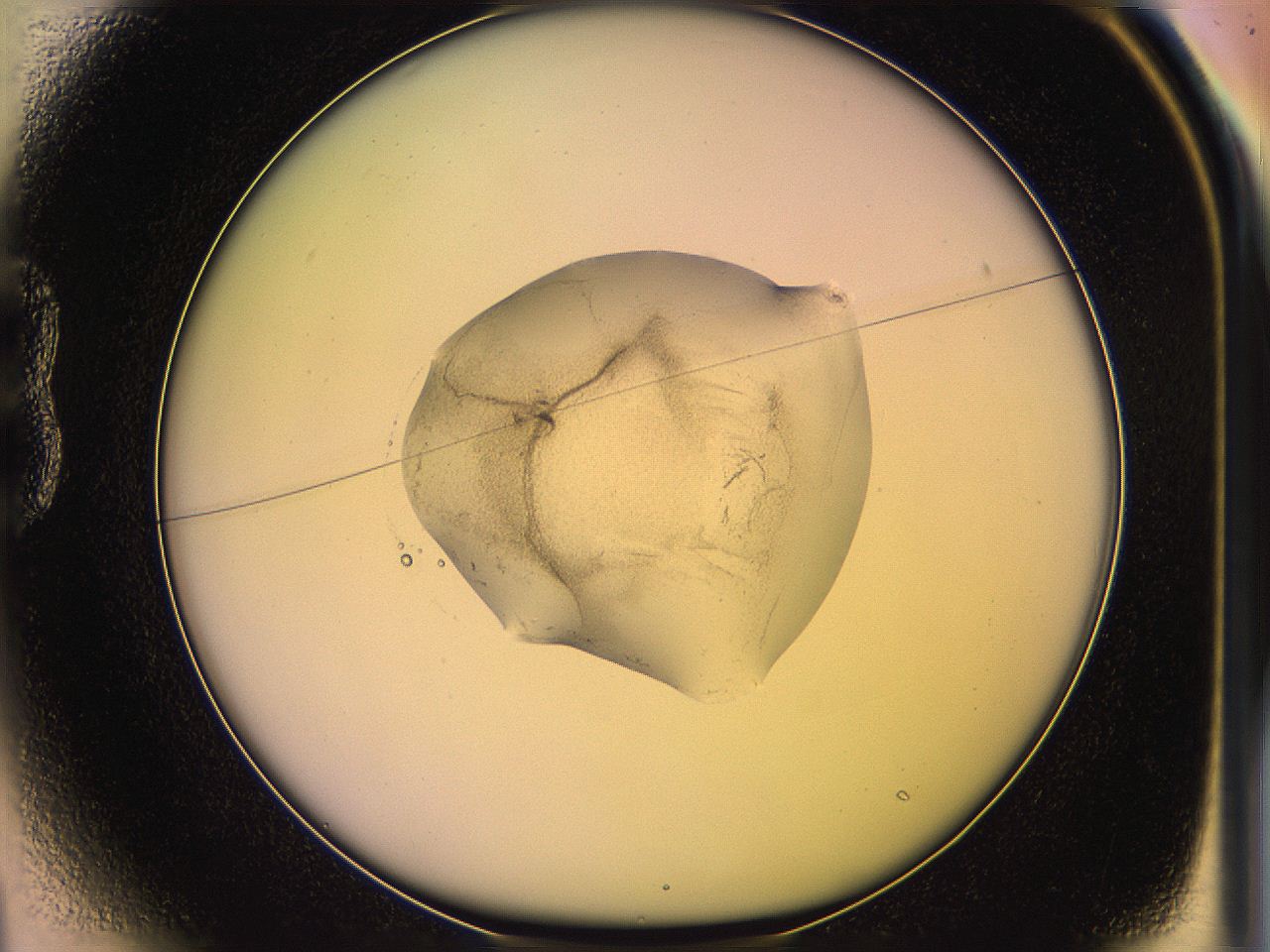 05qg_B1_ImagerDefaults_3.jpg