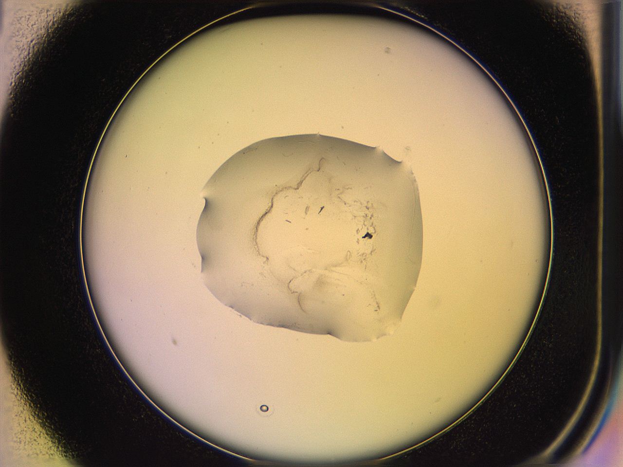 05qg_B1_ImagerDefaults_2.jpg