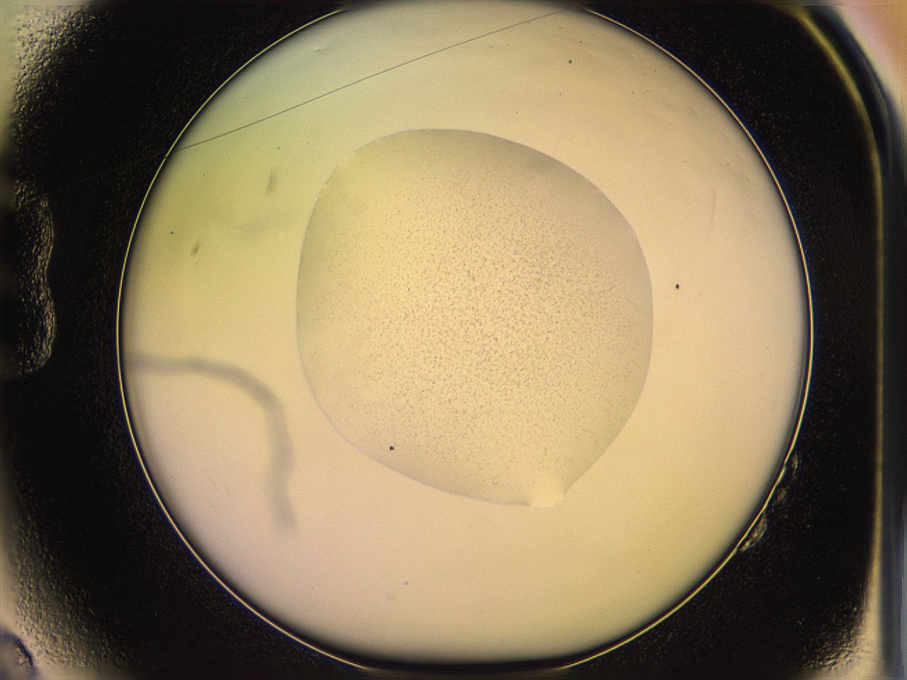 05qg_B2_ImagerDefaults_3.jpg