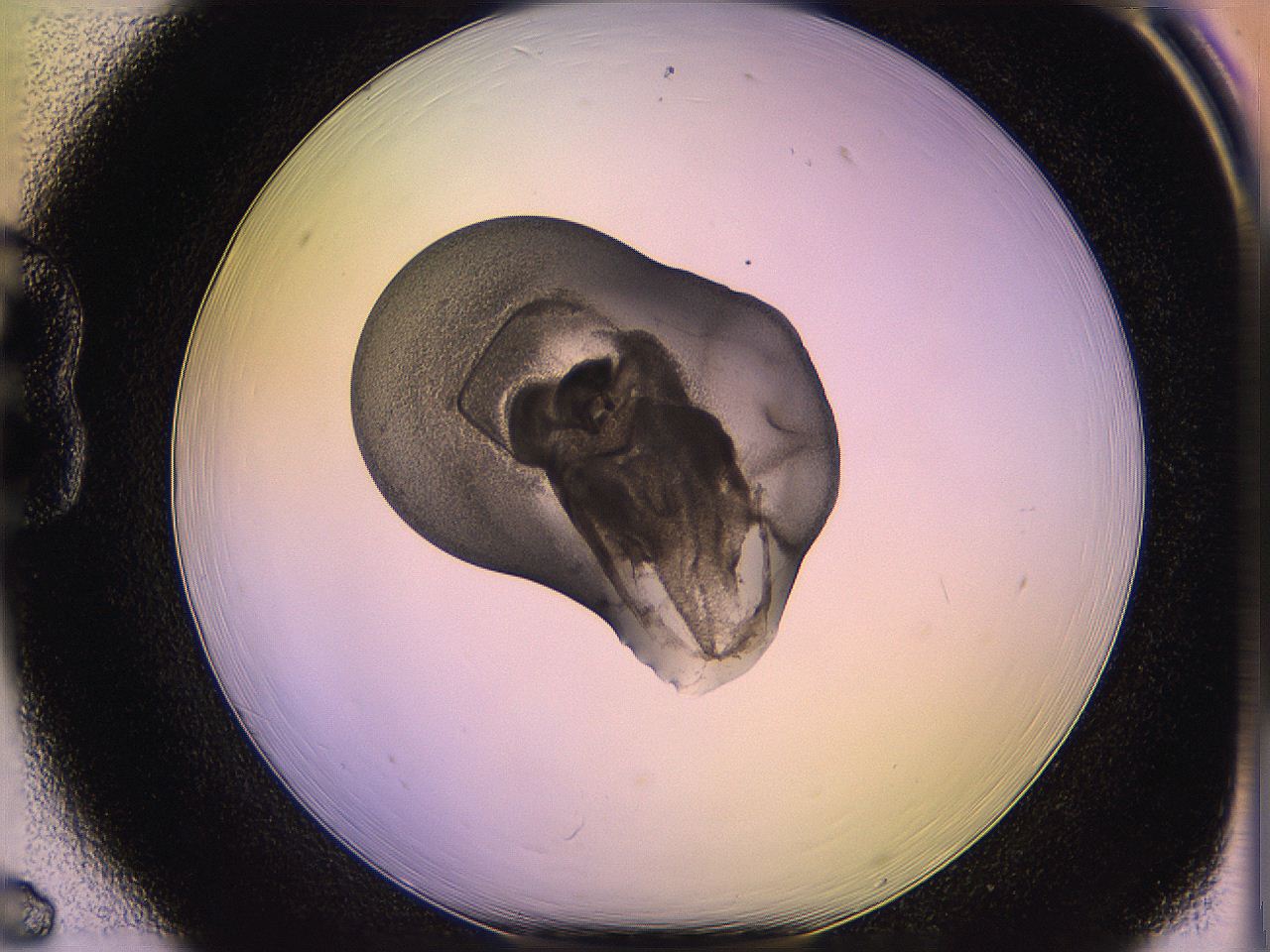 05qg_B6_ImagerDefaults_3.jpg