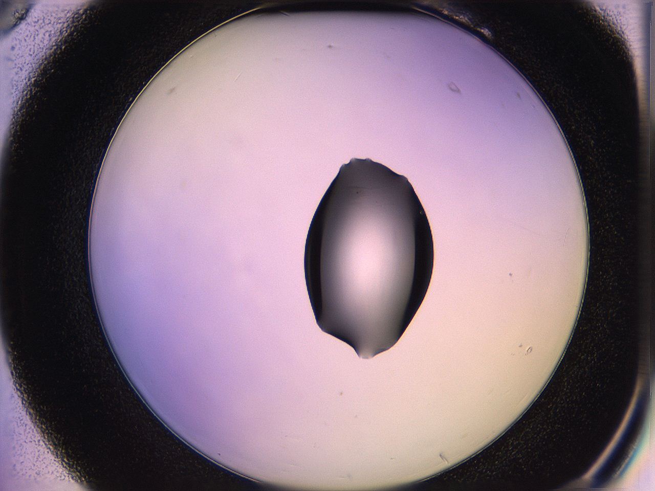 05qg_B6_ImagerDefaults_1.jpg