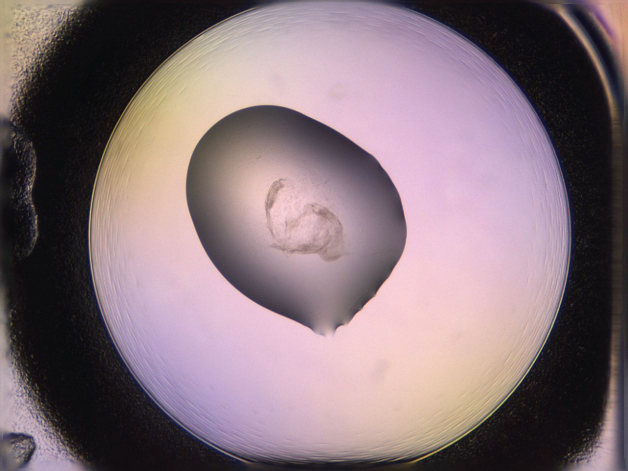 05qg_B7_ImagerDefaults_3.jpg