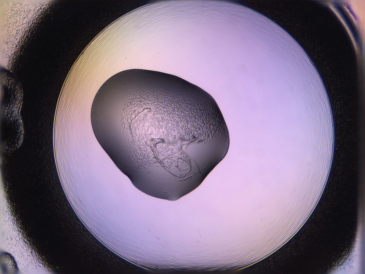 05qg_B8_ImagerDefaults_3.jpg