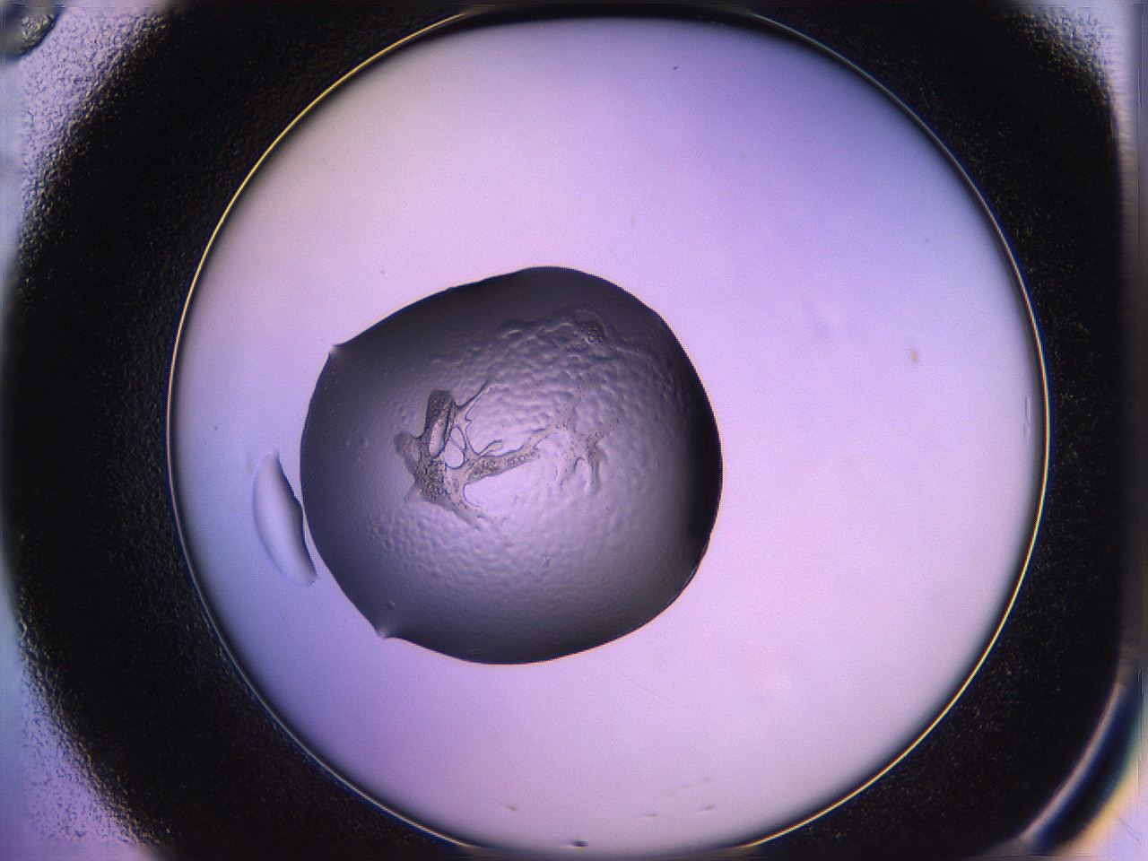 05qg_B8_ImagerDefaults_2.jpg