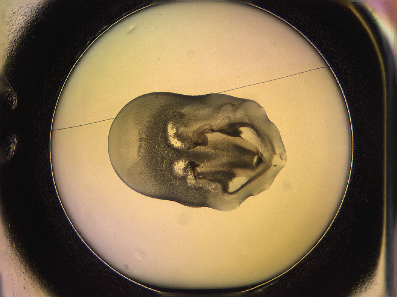 05qg_C1_ImagerDefaults_3.jpg