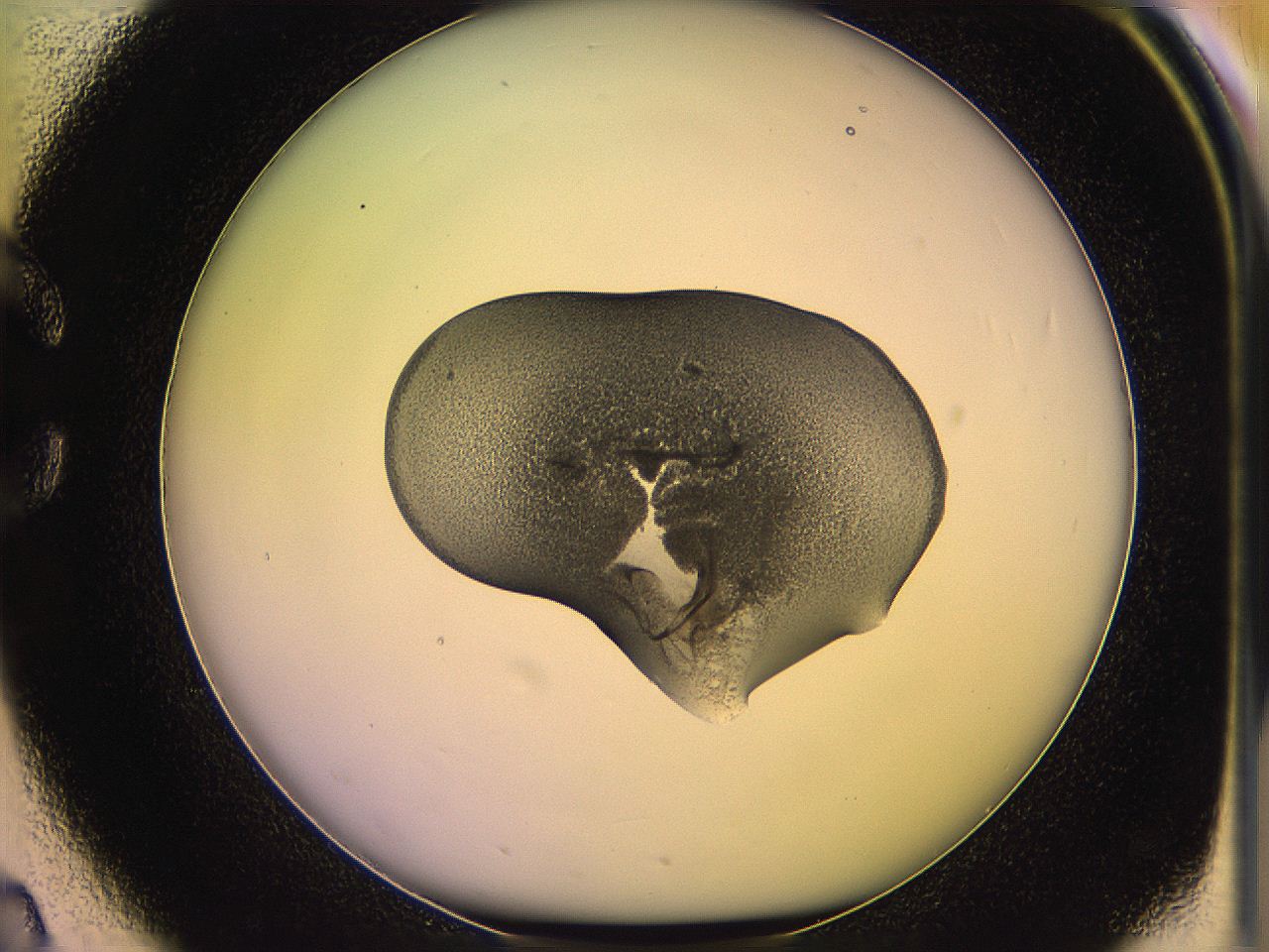05qg_C2_ImagerDefaults_3.jpg