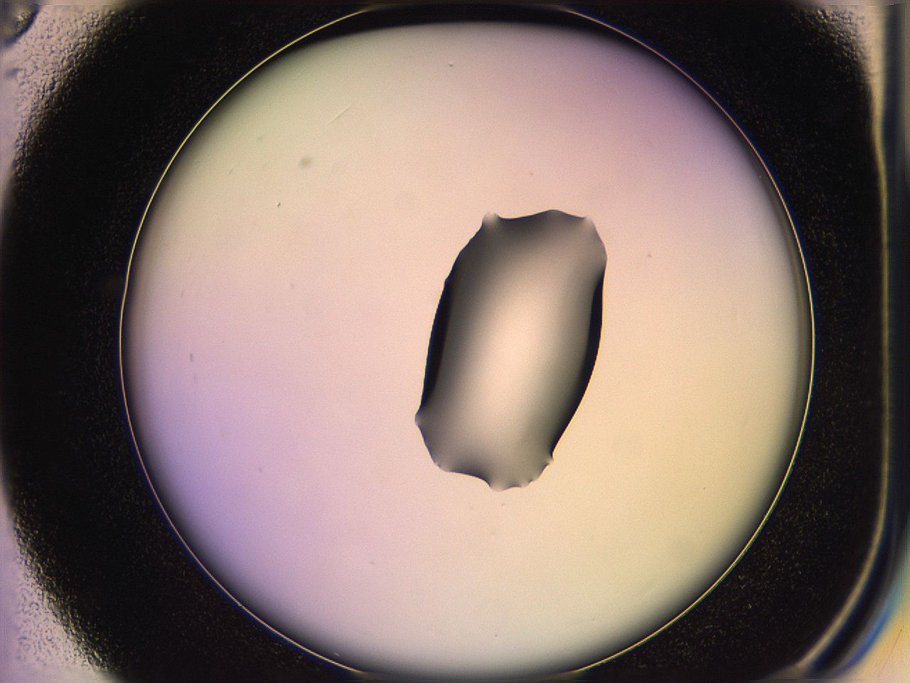 05qg_C3_ImagerDefaults_1.jpg