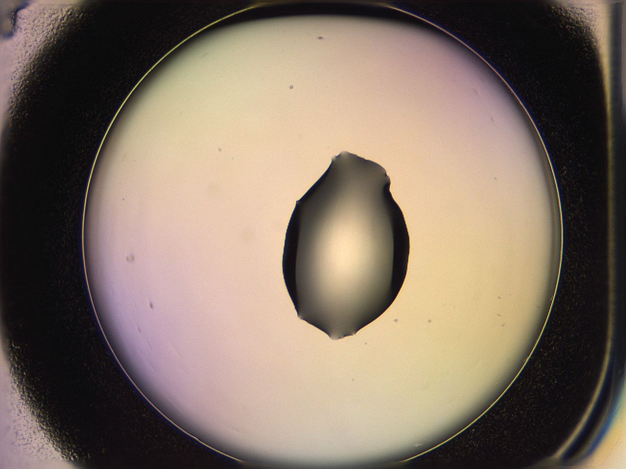 05qg_C4_ImagerDefaults_1.jpg