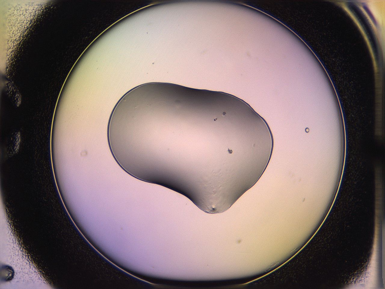 05qg_C5_ImagerDefaults_2.jpg