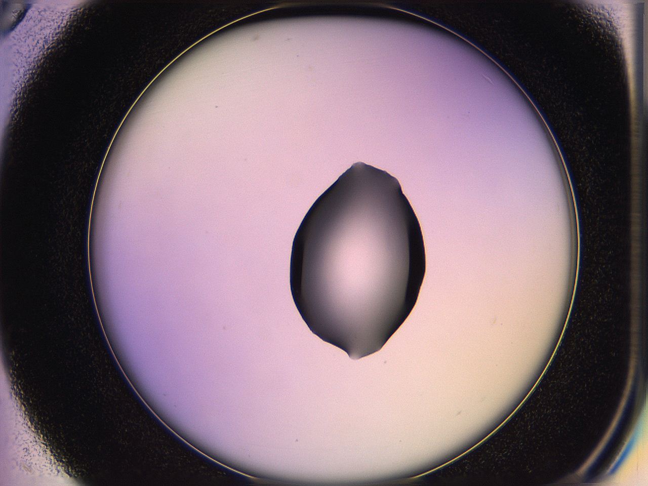 05qg_C5_ImagerDefaults_1.jpg