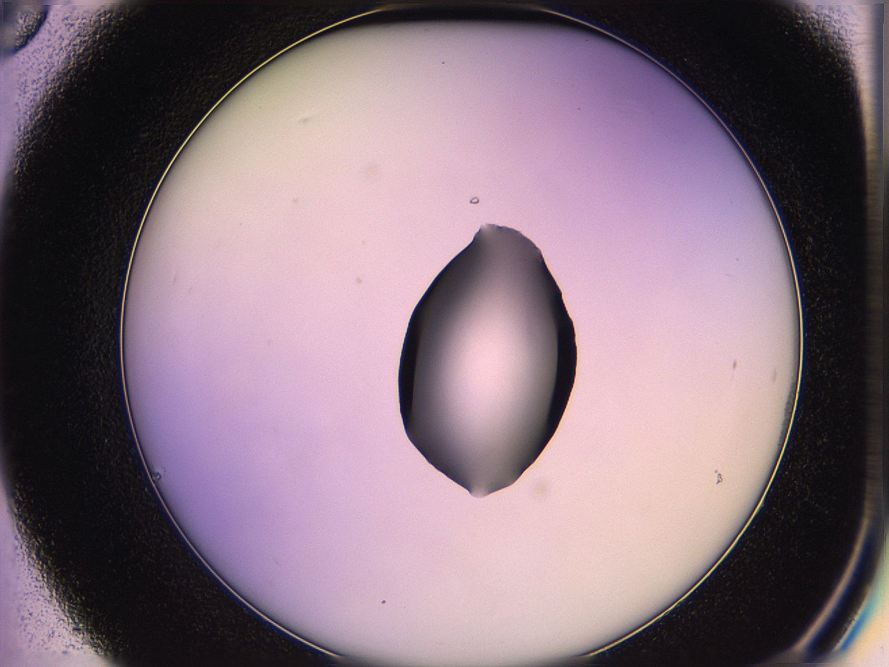 05qg_C6_ImagerDefaults_1.jpg