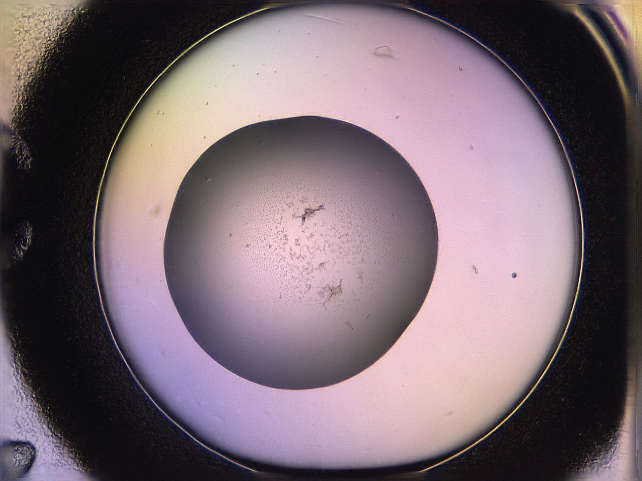05qg_C7_ImagerDefaults_3.jpg