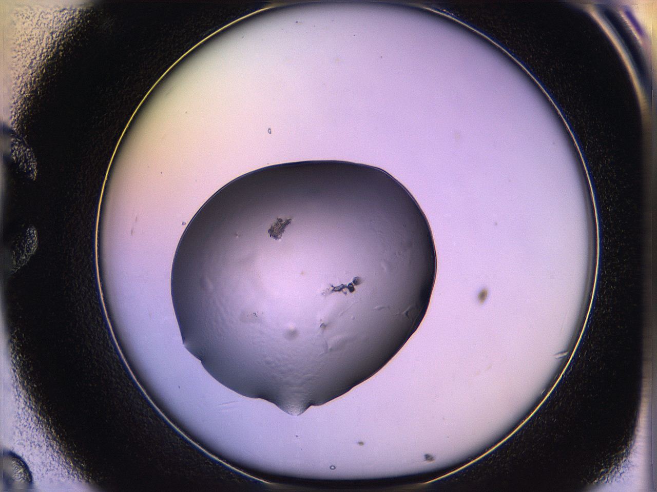 05qg_C8_ImagerDefaults_2.jpg