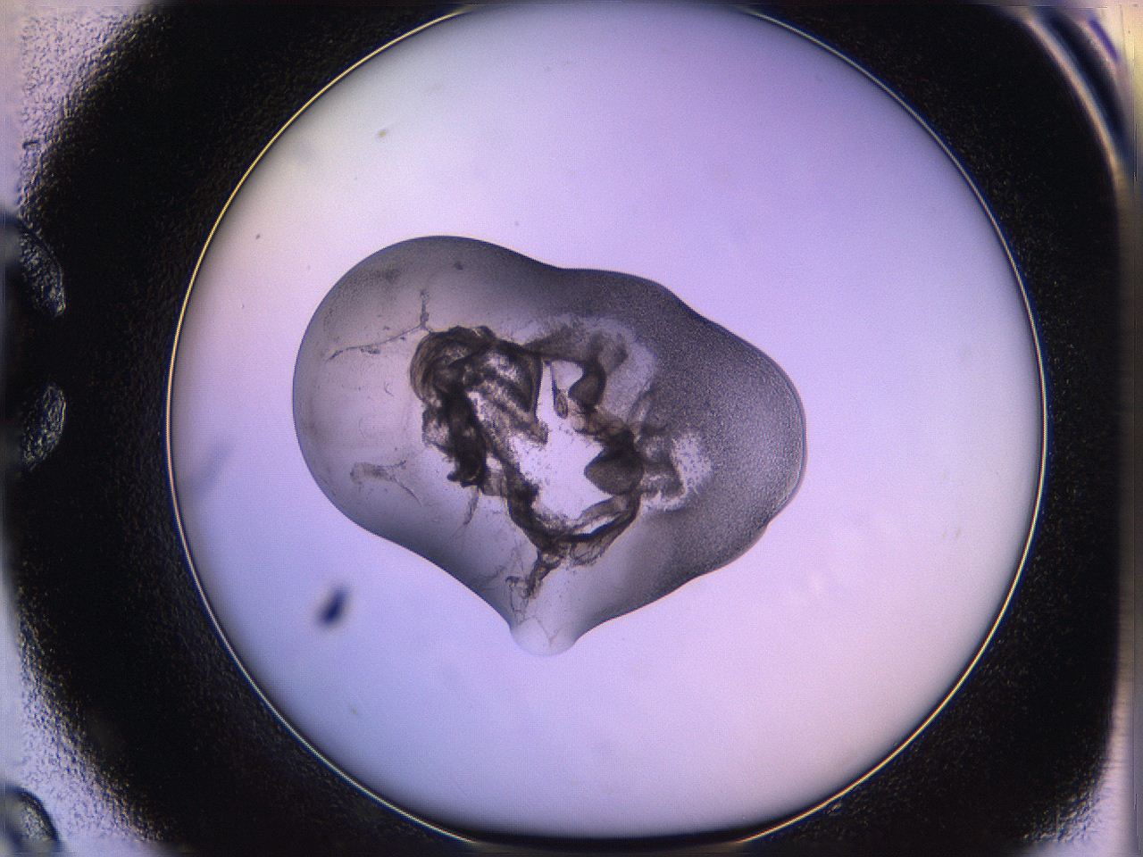 05qg_C9_ImagerDefaults_3.jpg