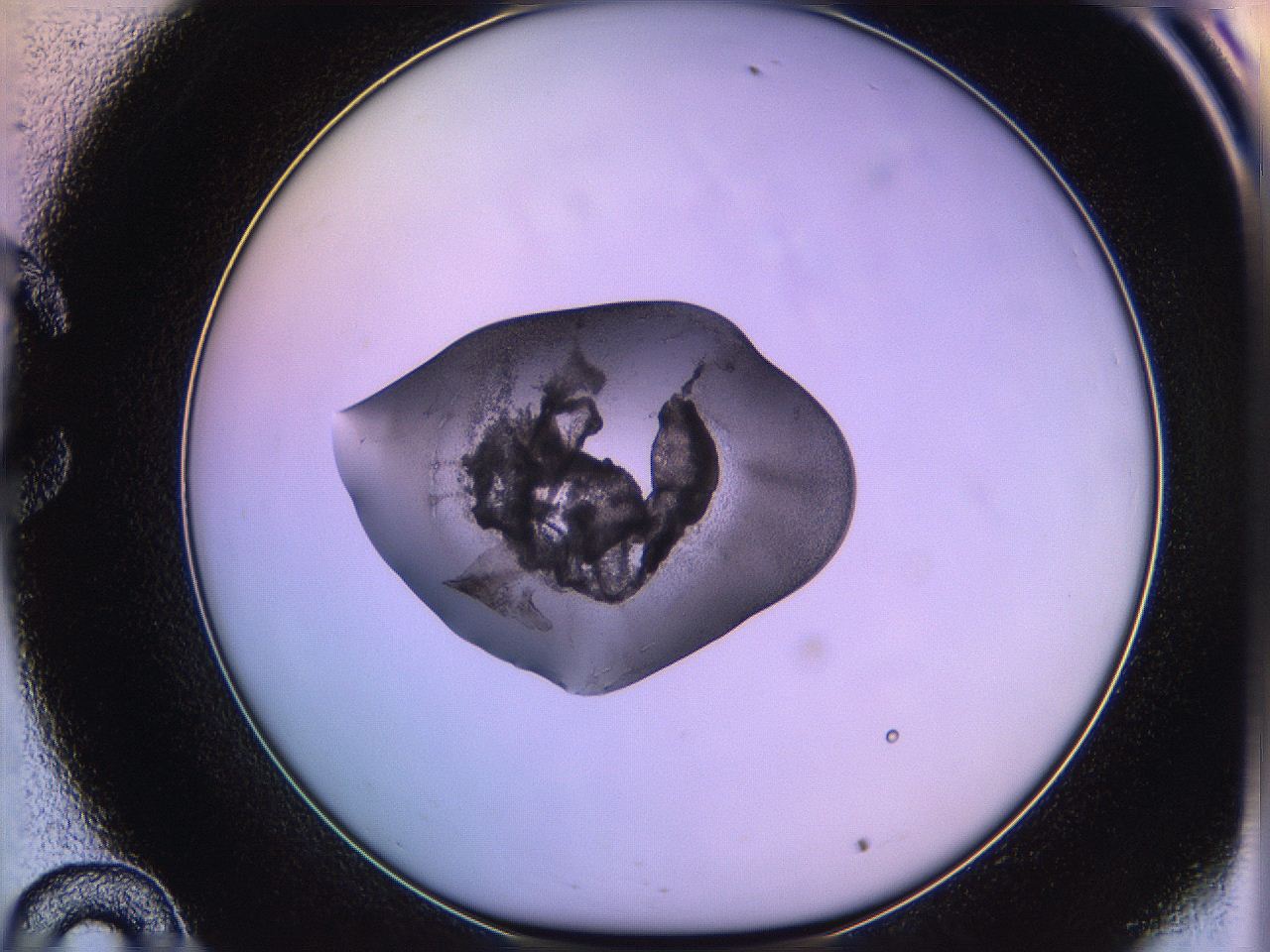 05qg_C10_ImagerDefaults_3.jpg