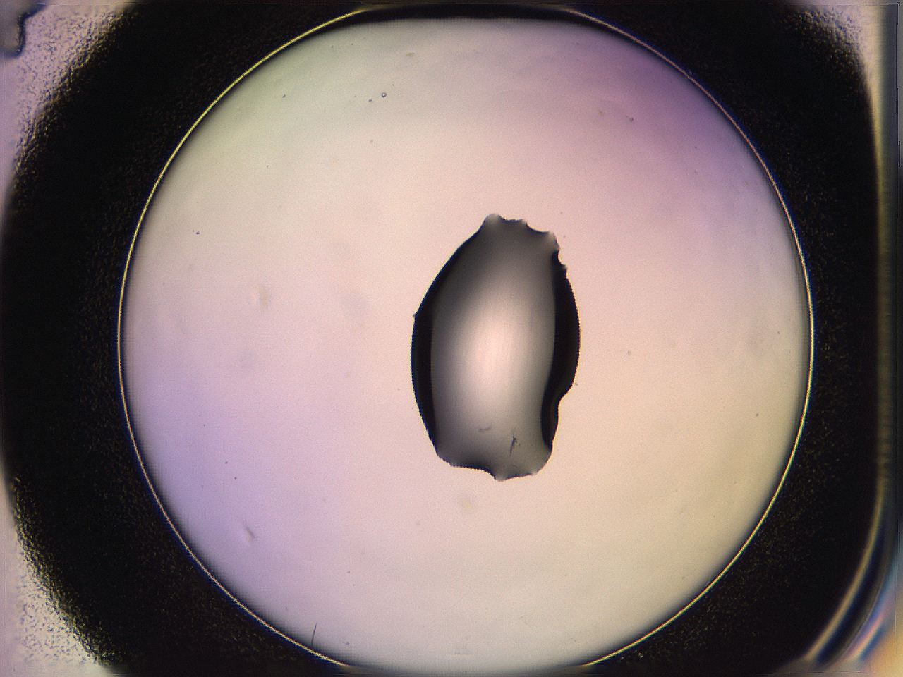 05qg_D4_ImagerDefaults_1.jpg
