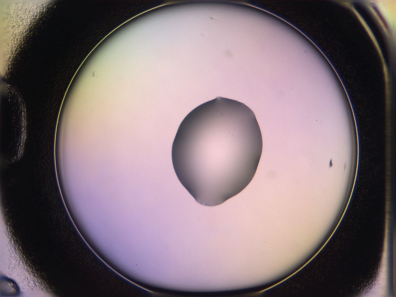 05qg_D6_ImagerDefaults_1.jpg
