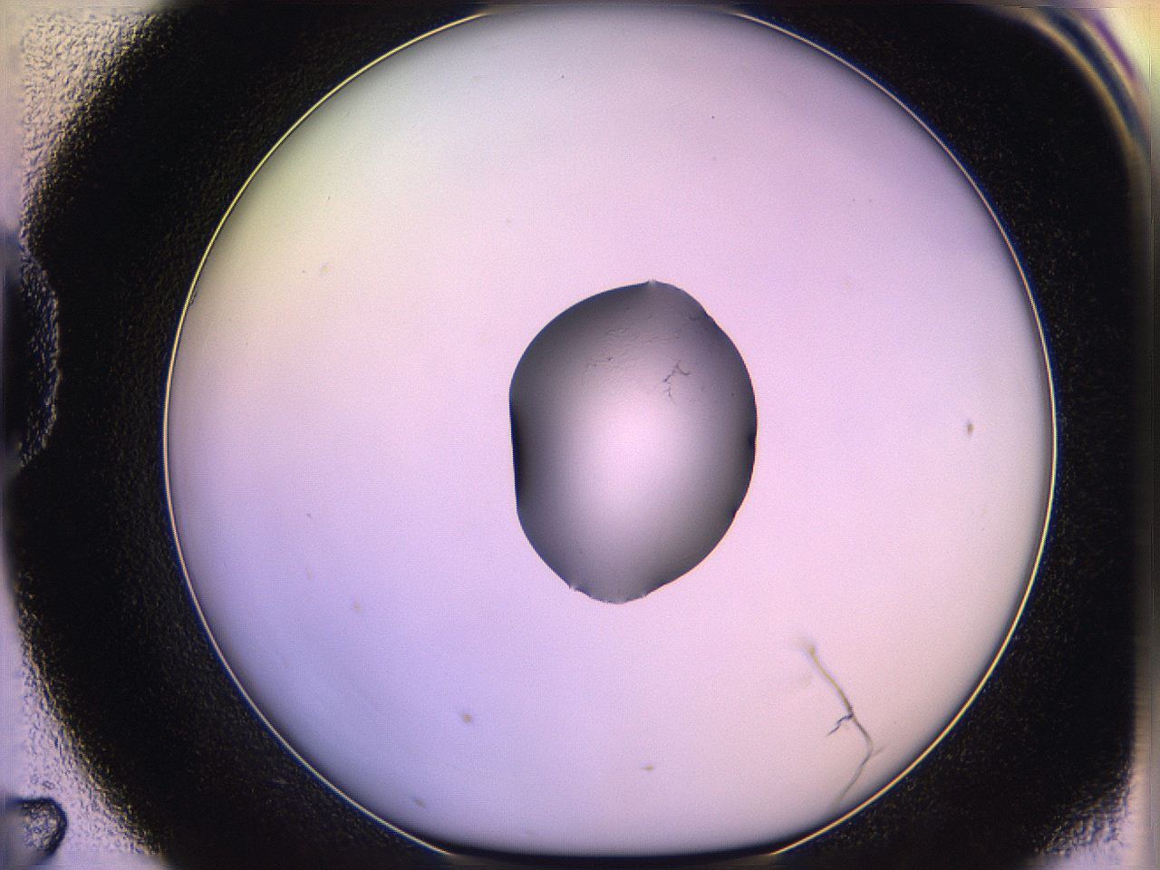 05qg_D7_ImagerDefaults_1.jpg