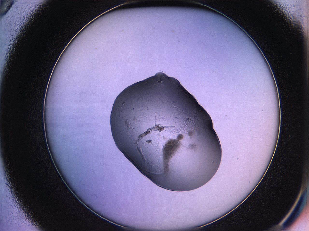 05qg_D9_ImagerDefaults_3.jpg