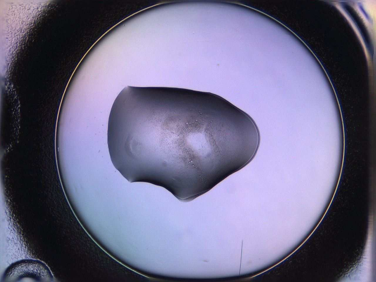 05qg_D10_ImagerDefaults_2.jpg