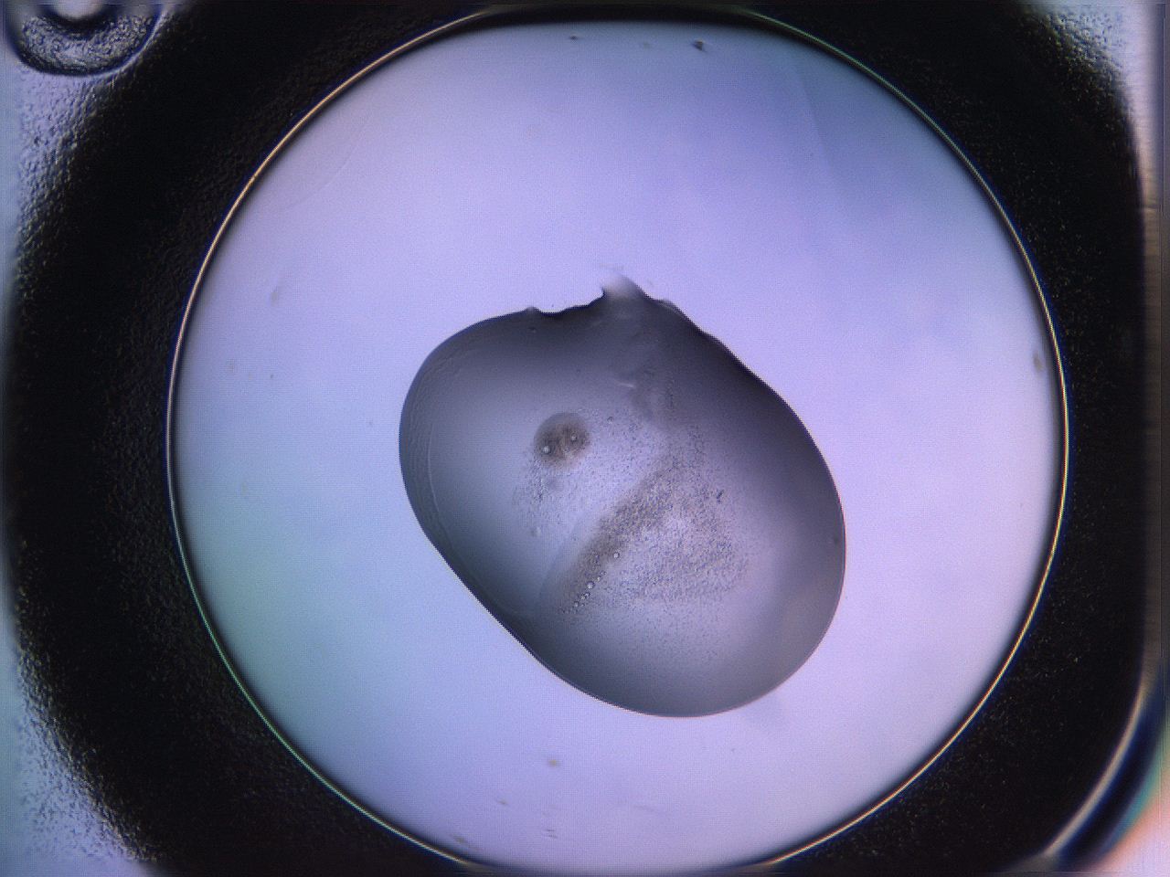 05qg_D10_ImagerDefaults_3.jpg