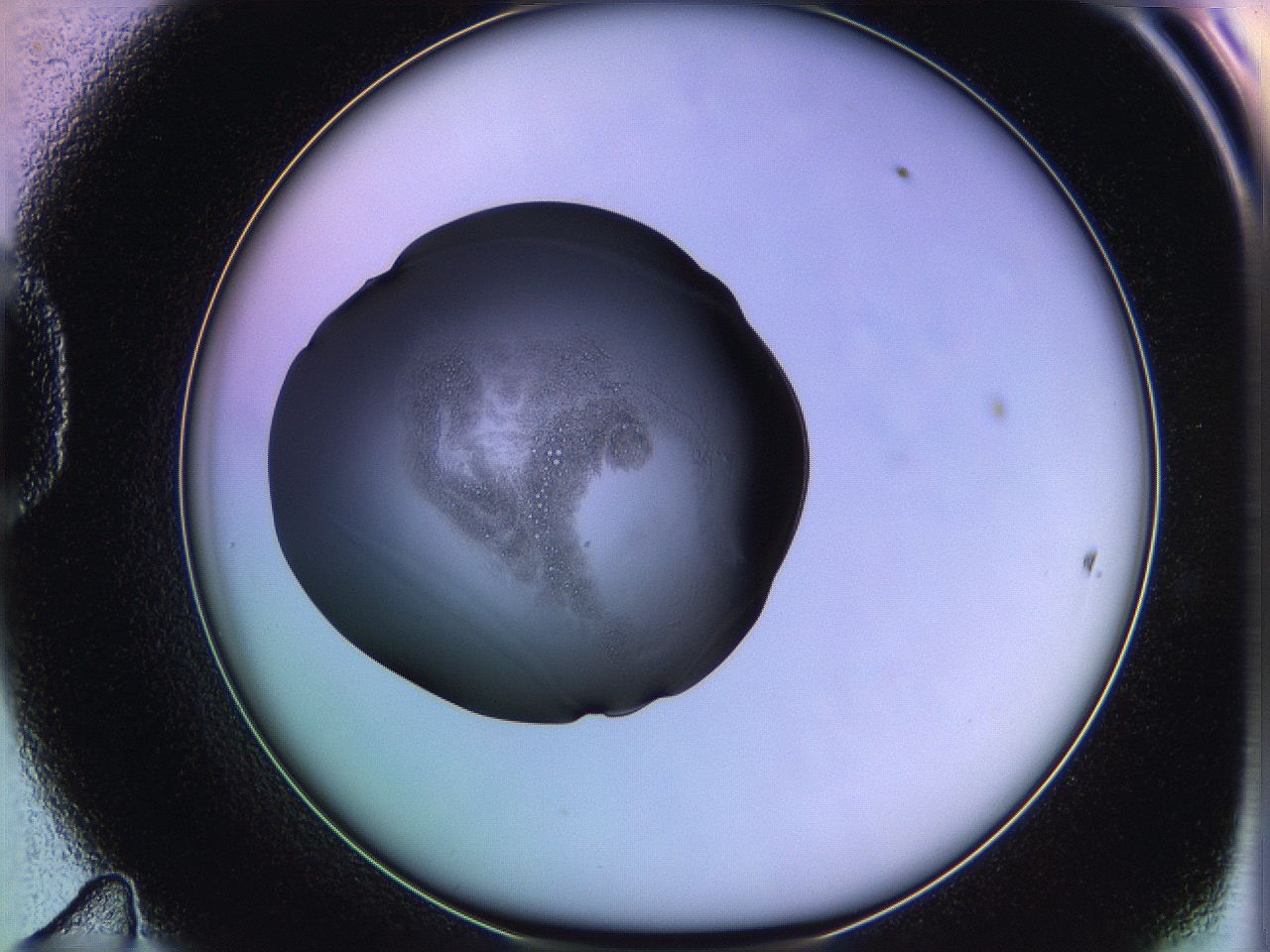 05qg_D11_ImagerDefaults_2.jpg