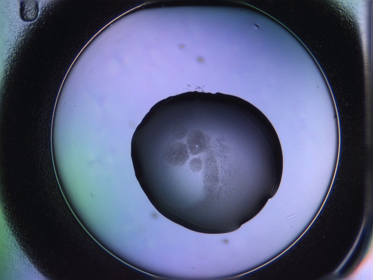 05qg_D11_ImagerDefaults_3.jpg