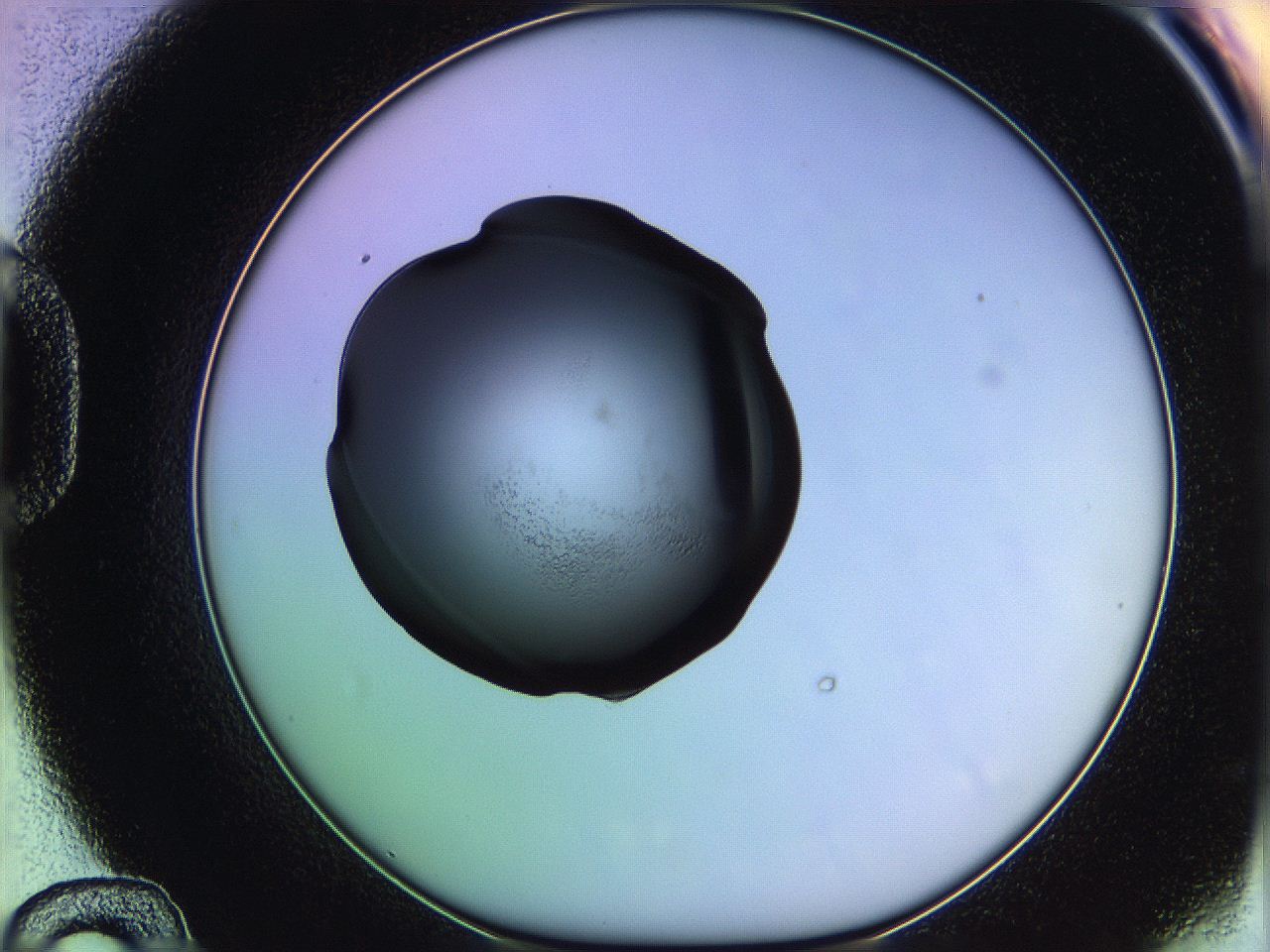 05qg_D12_ImagerDefaults_2.jpg