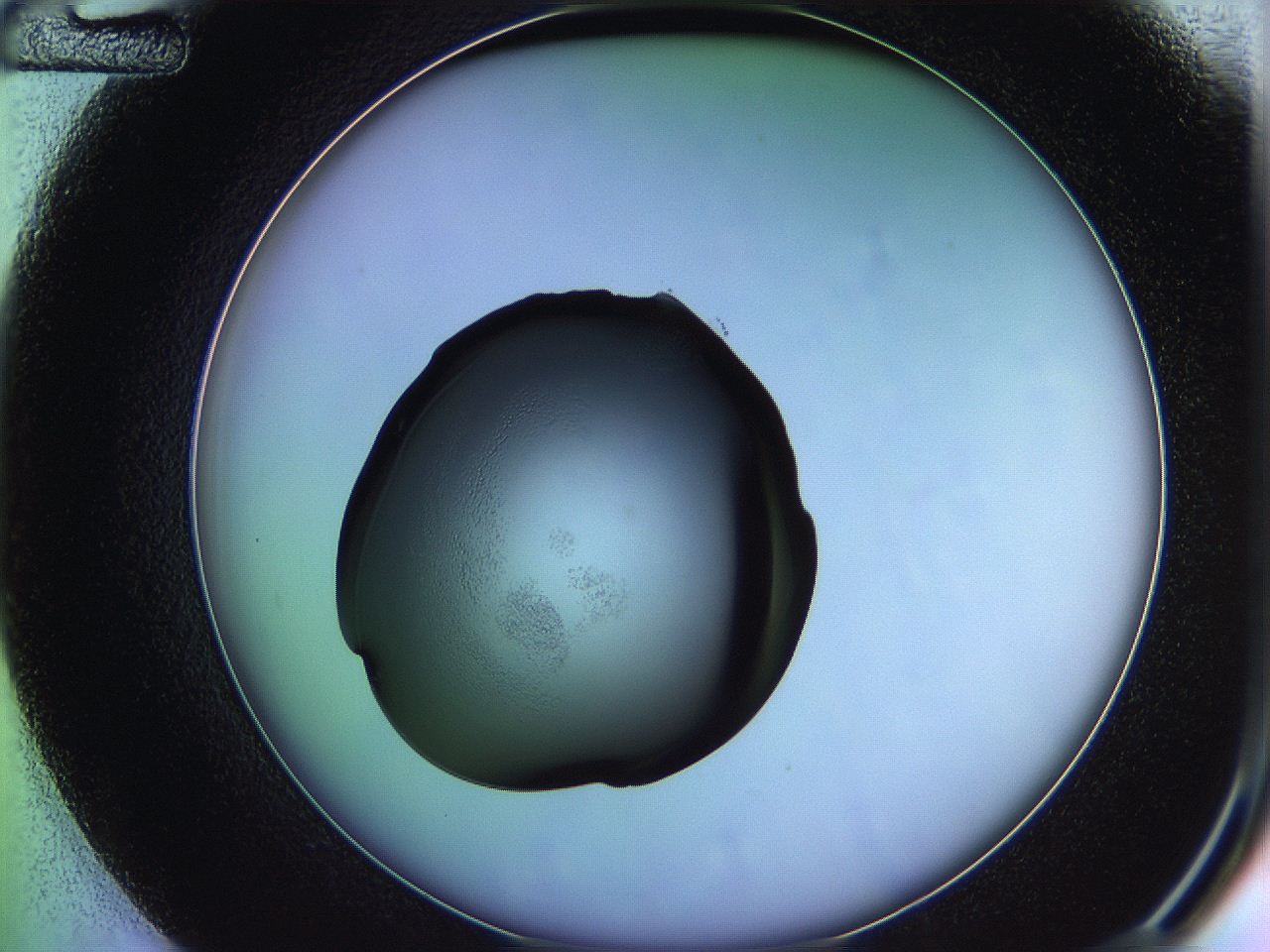 05qg_D12_ImagerDefaults_3.jpg