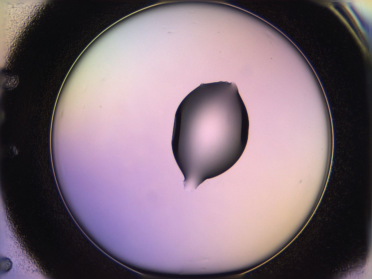 05qg_E5_ImagerDefaults_1.jpg