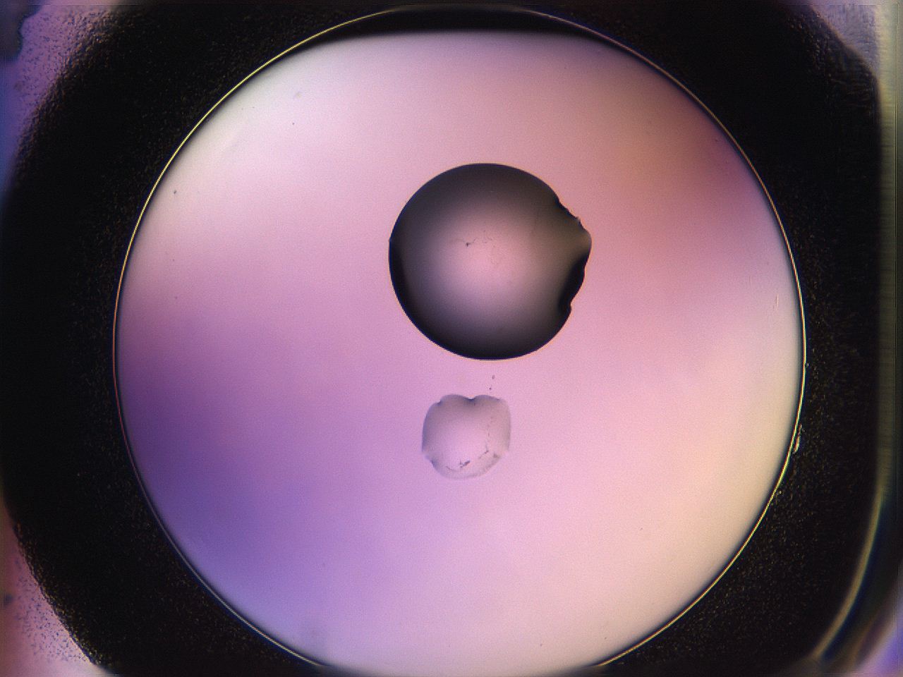 05qg_F4_ImagerDefaults_1.jpg
